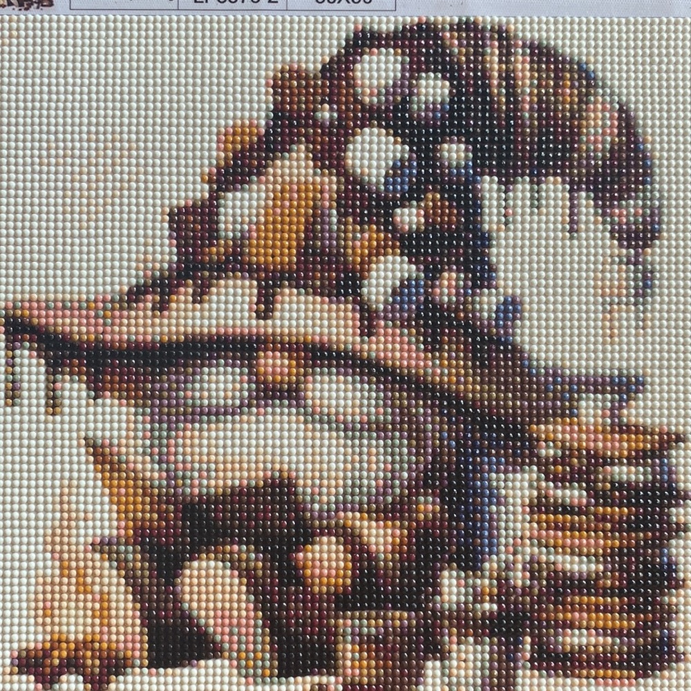 Smores Covered Gnome Diamond Dot Art Picture Painting